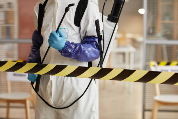 Professional Sewage Cleanup technician working in Paradise, CA